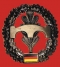 кокарда Pioniertruppe кокарда Pioniertruppe