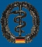 кокарда Sanitätsdienst Heer кокарда Sanitätsdienst Heer